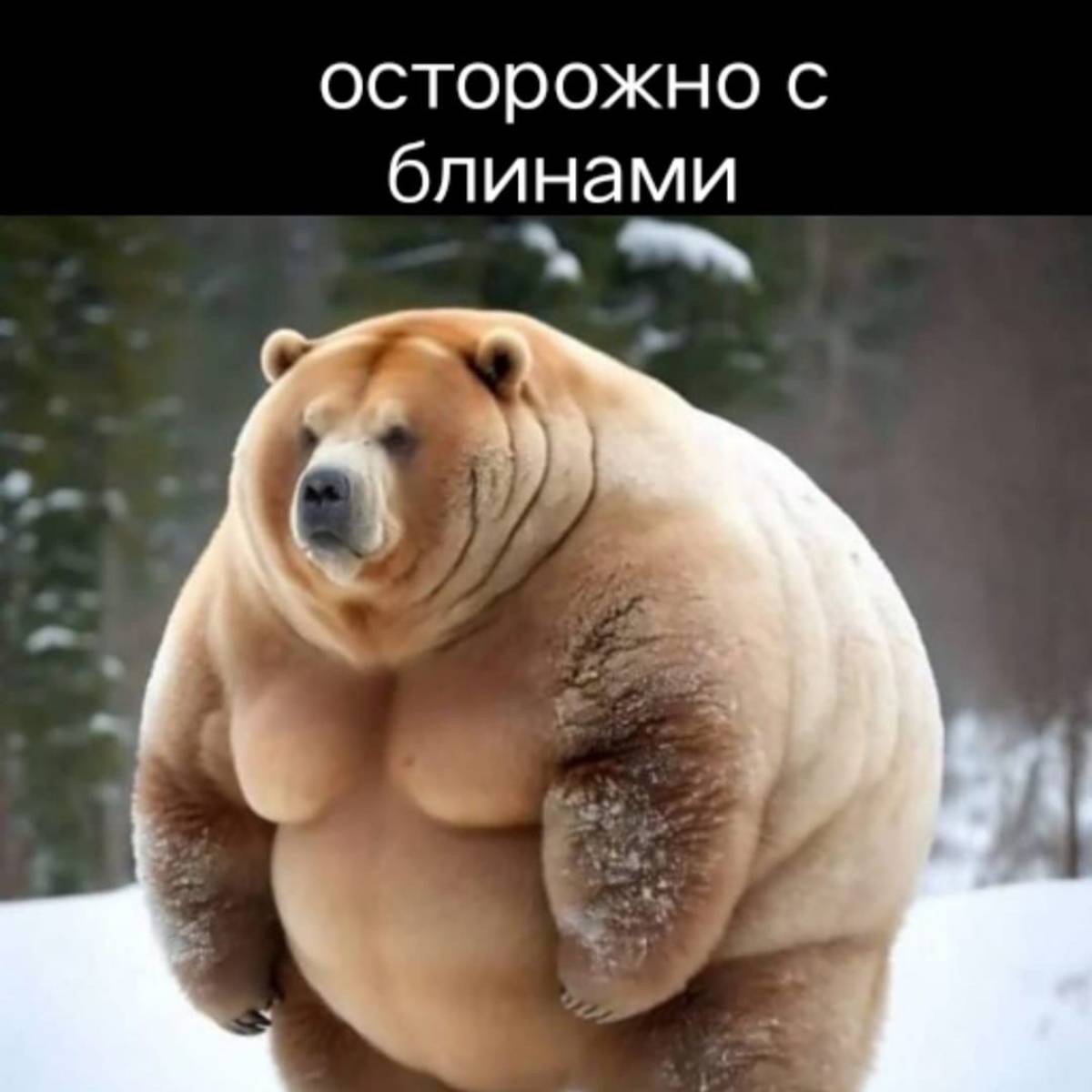 Селиванов Андрей