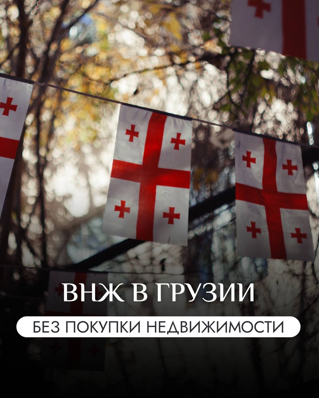 🇬🇪 4 способа получить ВНЖ в Грузии без покупки недвижимости
Вид на жительство в Грузии дают не только за покупку квартиры, есть и другие способы получить ВНЖ и остаться в стране легально | Сетка — социальная сеть от hh.ru
