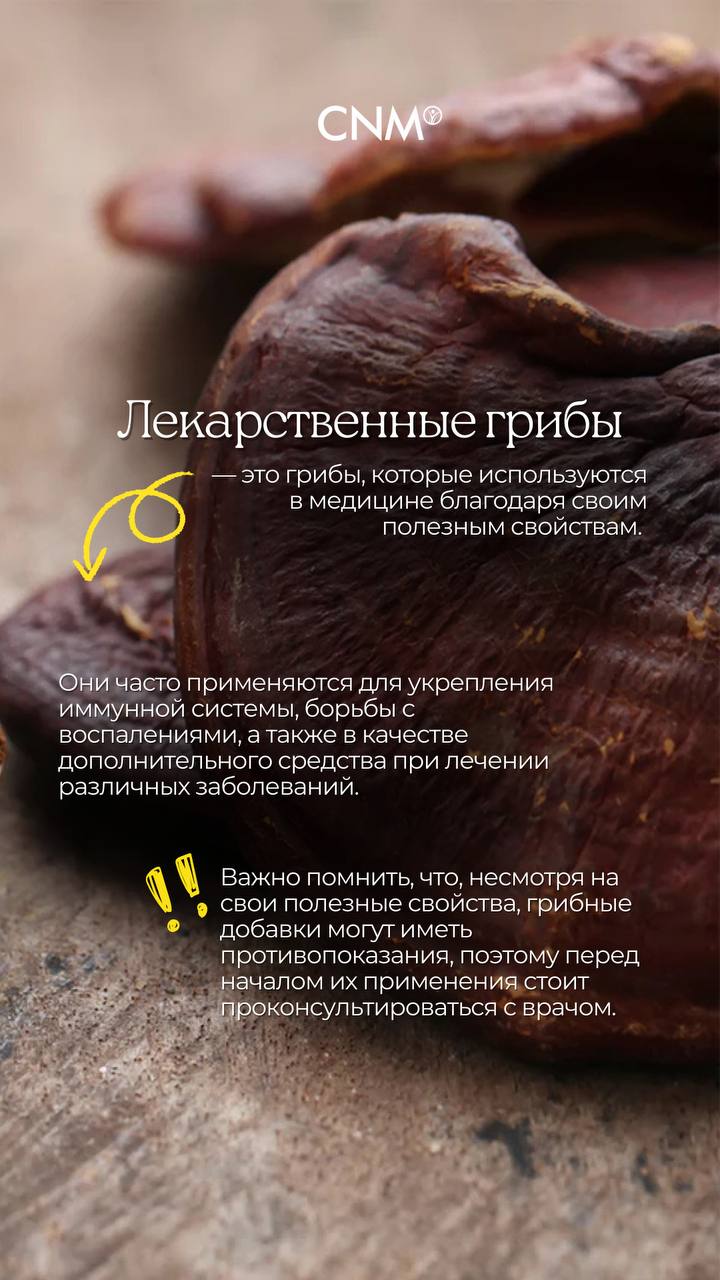 Расскажите о своих любимых лекарственных грибах? Как применяете и какой эффект наблюдаете?📌
И, конечно, присоединяйтесь к нашему эфиру о грибе Рейши уже в этот четверг в нашем инстаграм аккаунте | Сетка — социальная сеть от hh.ru