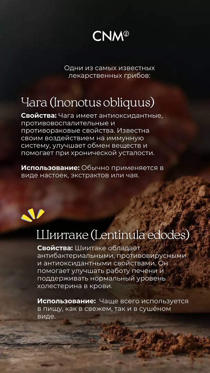 Расскажите о своих любимых лекарственных грибах? Как применяете и какой эффект наблюдаете?📌
И, конечно, присоединяйтесь к нашему эфиру о грибе Рейши уже в этот четверг в нашем инстаграм аккаунте | Сетка — социальная сеть от hh.ru