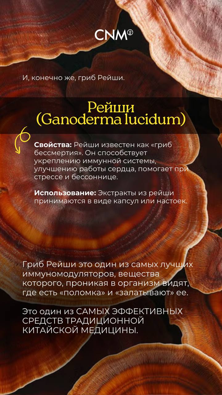 Расскажите о своих любимых лекарственных грибах? Как применяете и какой эффект наблюдаете?📌
И, конечно, присоединяйтесь к нашему эфиру о грибе Рейши уже в этот четверг в нашем инстаграм аккаунте | Сетка — социальная сеть от hh.ru