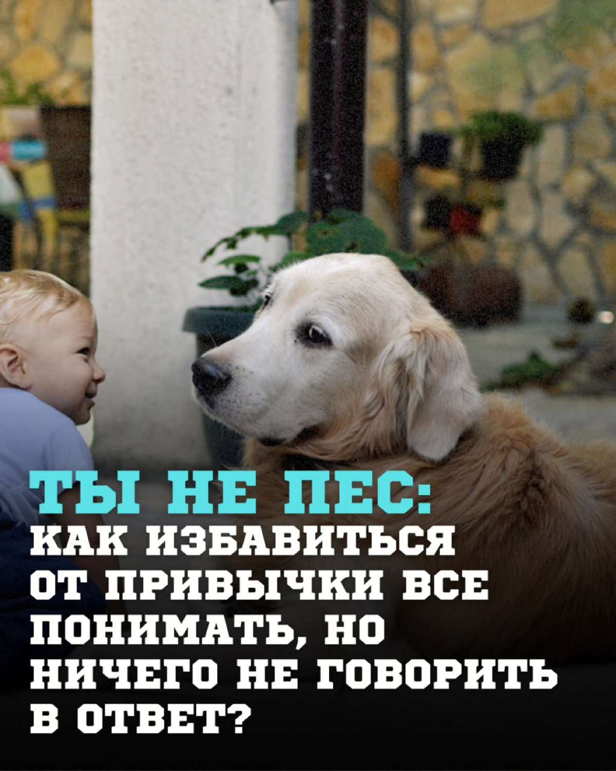 Ты не пес: как избавиться от привычки все понимать, но ничего не говорить в ответ?
Вы когда-нибудь оказывались в ситуации, когда прекрасно понимаете английскую речь собеседника, но внезапно теряетесь,... | Сетка — социальная сеть от hh.ru