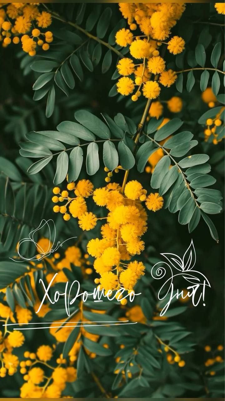 Доброе утро мои хорошие ❤️
Прекрасной пятницы вам и замечательного настроения. Пусть ваш день будет легким, а вечер вкусным и приятным 🙏 | Сетка — социальная сеть от hh.ru