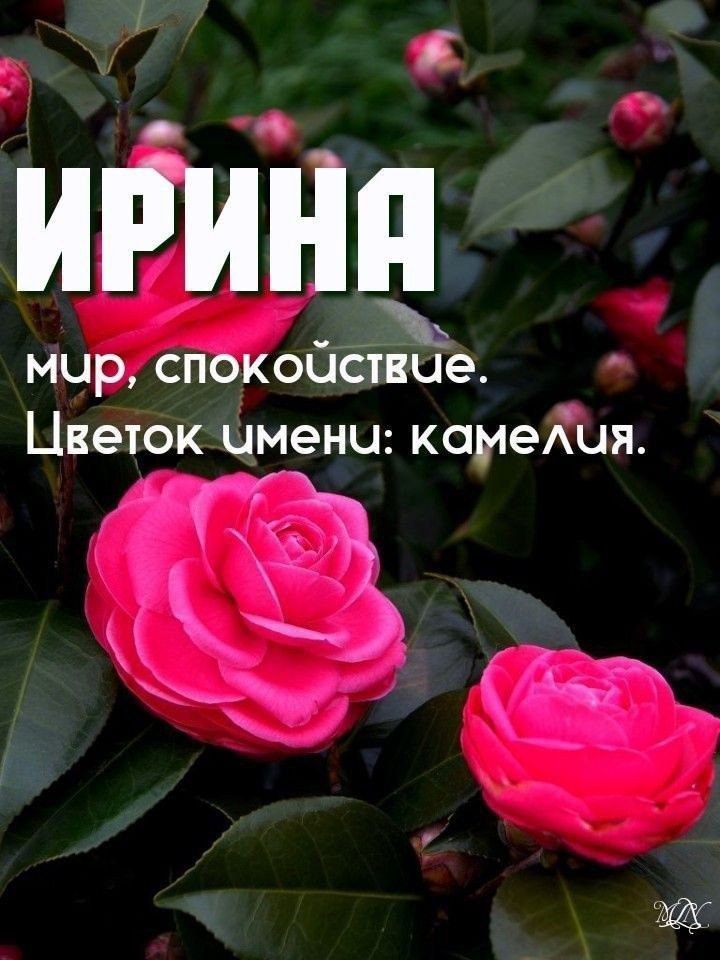 ЧТО В ИМЕНИ ТВОЁМ?
ИРИНА
7+14+7+11+22=61-22=39-22=17
При анализе имени  итоговое число - 17
Архетип 17-го Старшего Аркана – Звезды
В случае 17‑го Аркана речь идёт об образе Звезды – символе надежды, в... | Сетка — социальная сеть от hh.ru