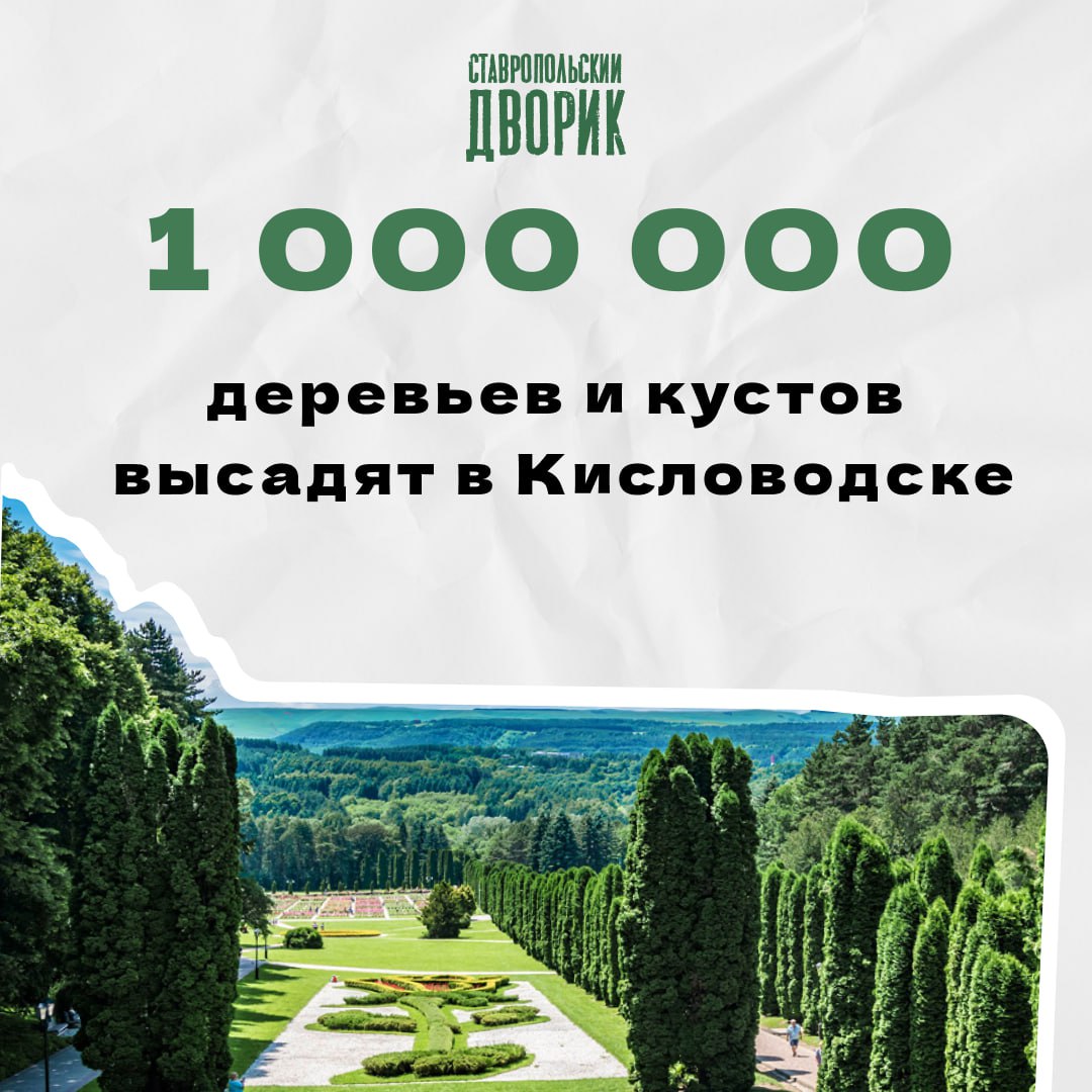 В солнечном городе-курорте начинается реализация экологической программы «ЧИСТО Кисловодск»
В течение 5 лет планируется посадка 1 млн деревьев и кустарников | Сетка — социальная сеть от hh.ru