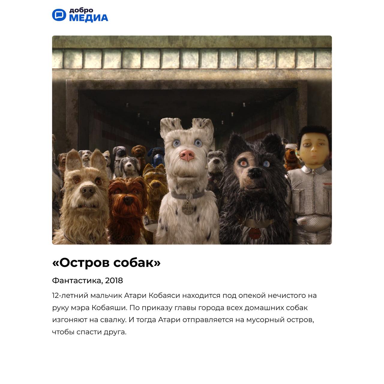 Топ мультфильмов о животных
Аниматор, преподаватель факультета анимации университета «Синергия» Наталья Варламова назвала лучшие мультфильмы о животных | Сетка — социальная сеть от hh.ru