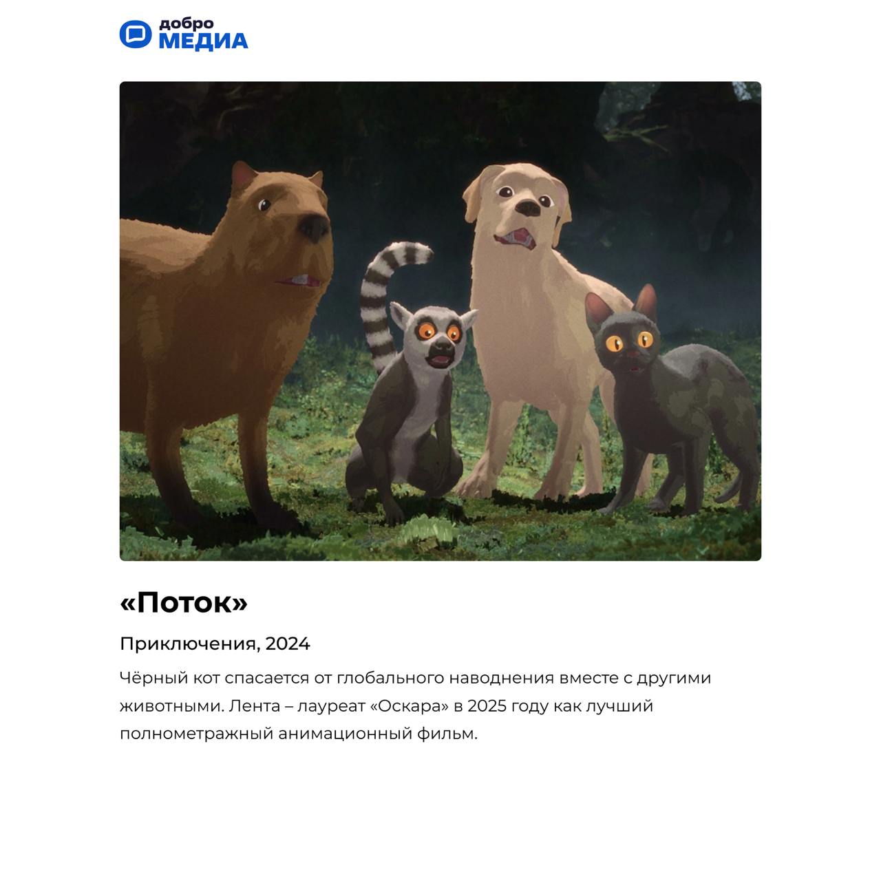 Топ мультфильмов о животных
Аниматор, преподаватель факультета анимации университета «Синергия» Наталья Варламова назвала лучшие мультфильмы о животных | Сетка — социальная сеть от hh.ru