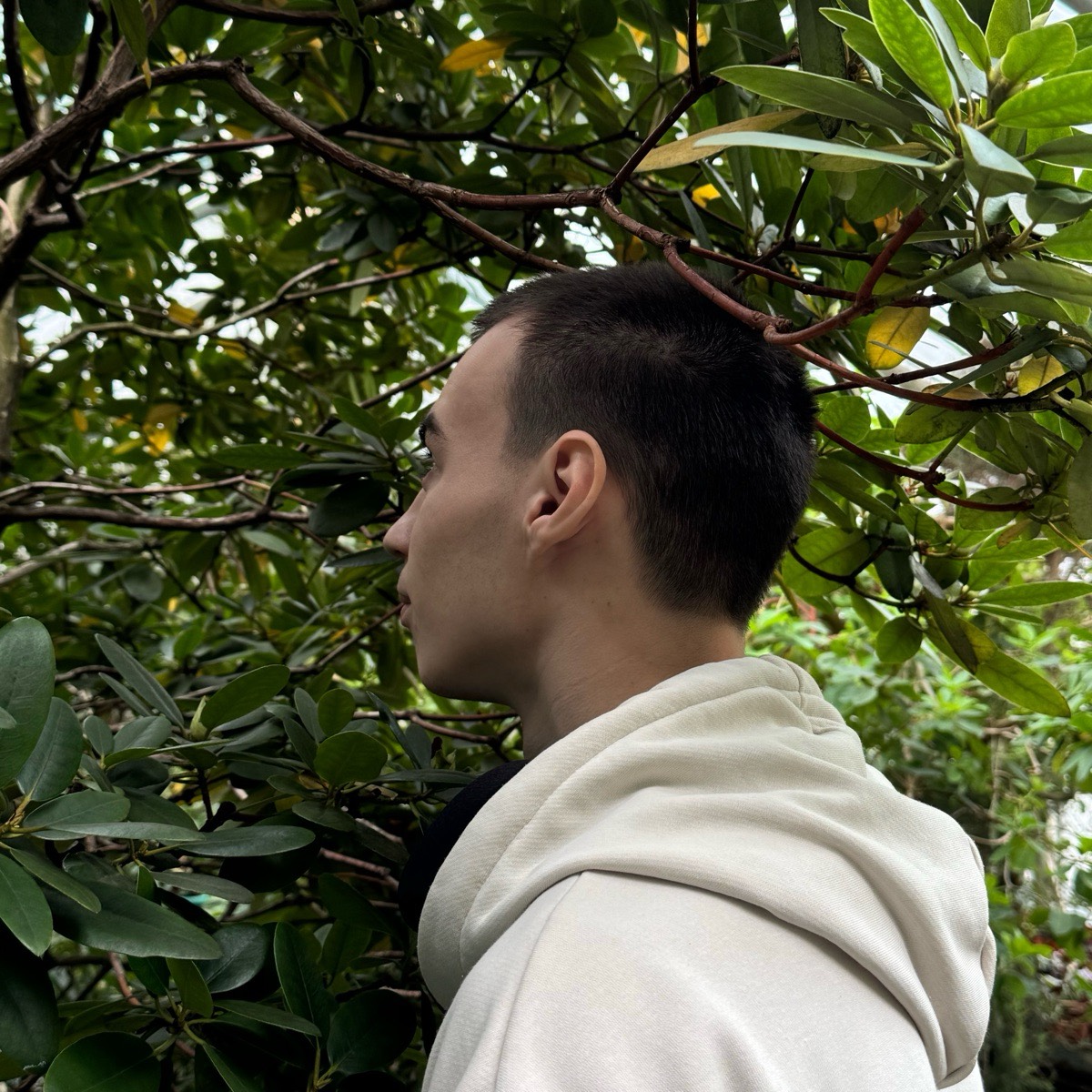 Максим Стёпин