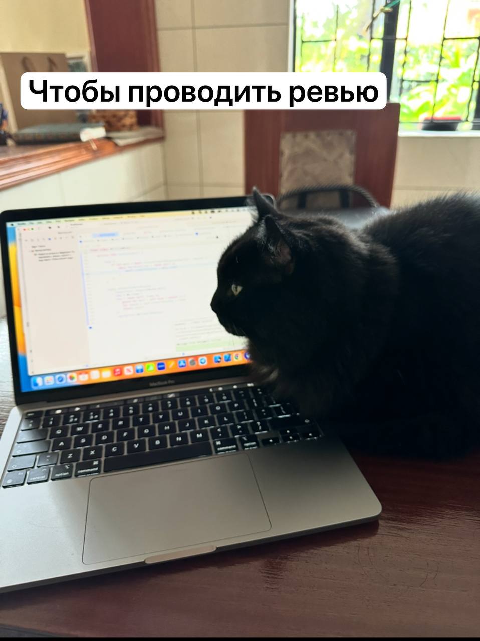 Я уверена, что каждому программисту на удаленке нужен кот 😃 зачем? Смотрите в карточках!
А в комментариях делитесь фотками своих главных помощников ☺️
@nontechdev | Сетка — социальная сеть от hh.ru