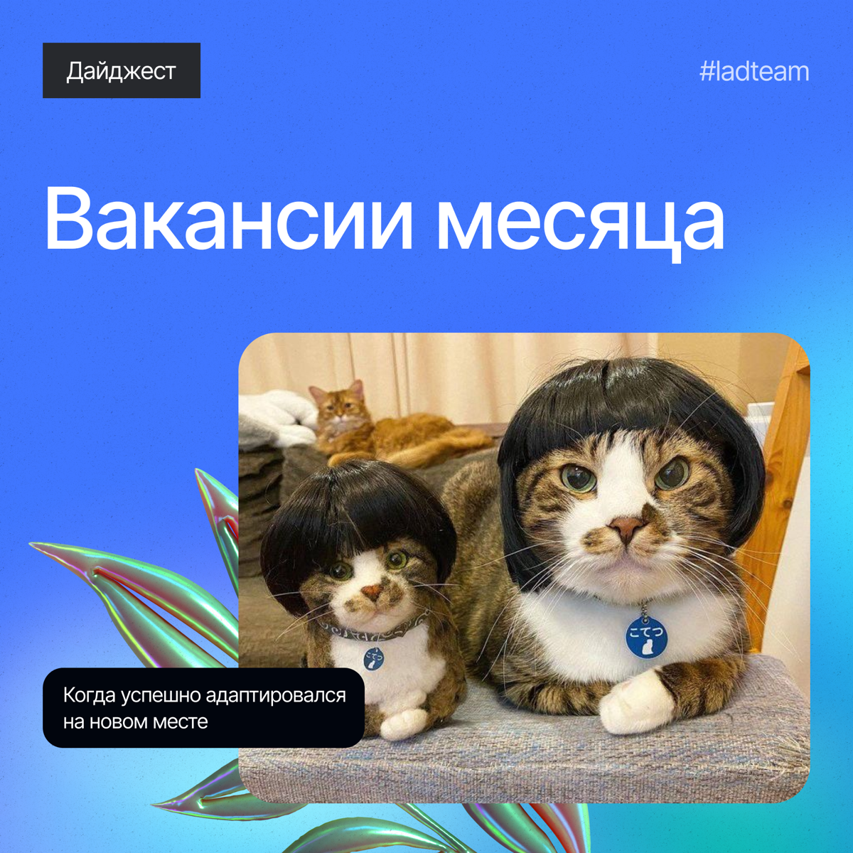 Дайджест вакансий Lad за март💡 | Сетка — социальная сеть от hh.ru