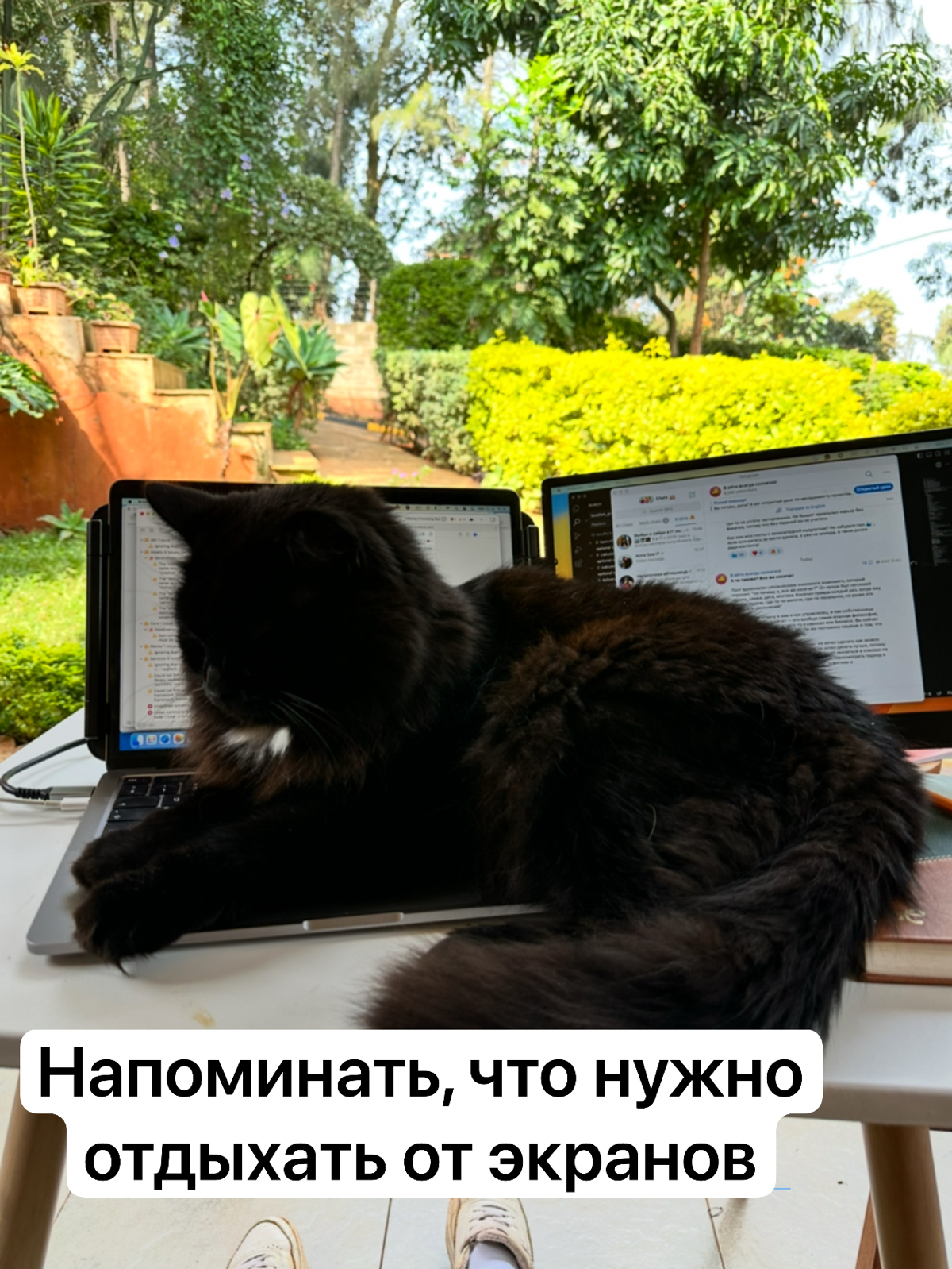 Я уверена, что каждому программисту на удаленке нужен кот 😃 зачем? Смотрите в карточках!
А в комментариях делитесь фотками своих главных помощников ☺️
@nontechdev | Сетка — социальная сеть от hh.ru
