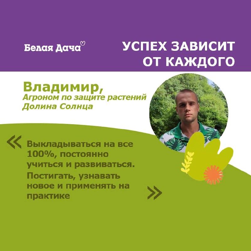 Ценности Белой Дачи в лицах 💚 | Сетка — социальная сеть от hh.ru