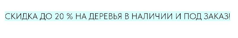 🌿 Создайте уют с нашими растениями! 🌿
Хотите освежить интерьер, добавить уюта и стиля? Растения – лучший способ оживить пространство и создать атмосферу комфорта! 💚
📌 Почему стоит заказать у нас?
✔️ Ж... | Сетка — социальная сеть от hh.ru