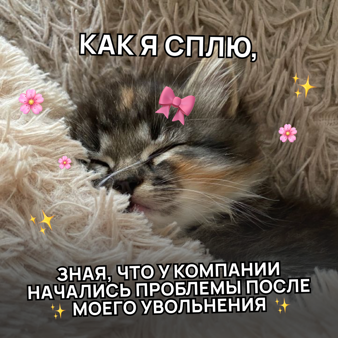 Они там сами разберутся | Сетка — социальная сеть от hh.ru