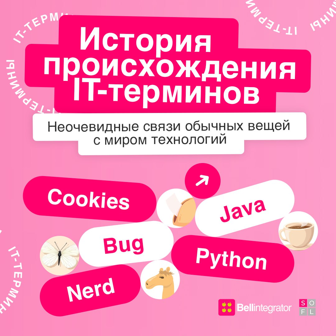 Откуда они взялись? ☁️
IT-слова скрывают в себе больше загадок, чем могло бы показаться на первый взгляд | Сетка — социальная сеть от hh.ru