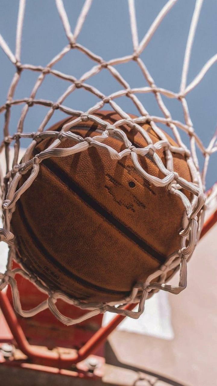 🏀В Гостином Дворе пройдет зрелищный фестиваль баскетбола
29-30 марта
В программе:
🔸Кубок Красной площади, в котором примут участие сильнейшие команды России, призеры Олимпийских игр и чемпионы России
... | Сетка — социальная сеть от hh.ru