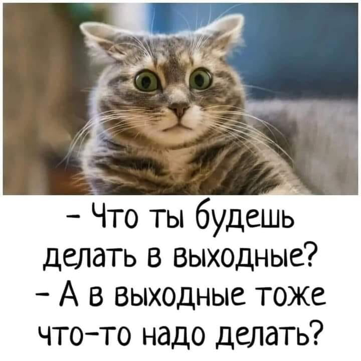 Улыбайтесь, друзья! 😁 | Сетка — социальная сеть от hh.ru