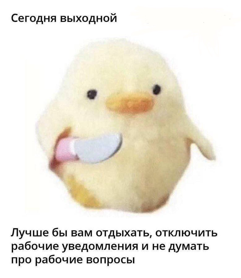 Но в Сетку зайдите | Сетка — социальная сеть от hh.ru