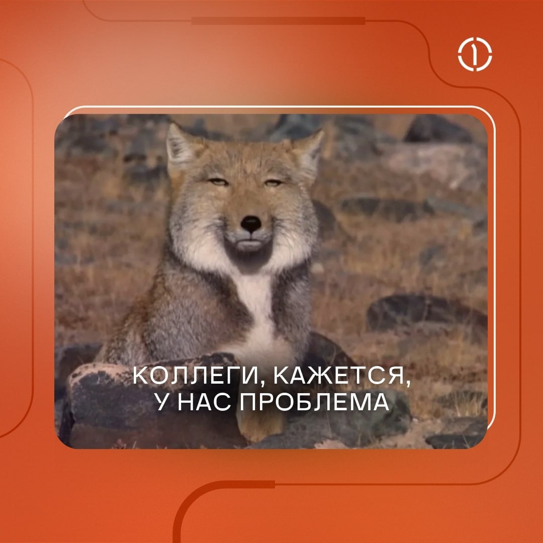 ⚡️ Рубрика — эээксперименты машинного обучения
Даже в цифровом мире не всегда всё гладко и проблемы могут поджидать на каждом шагу | Сетка — социальная сеть от hh.ru