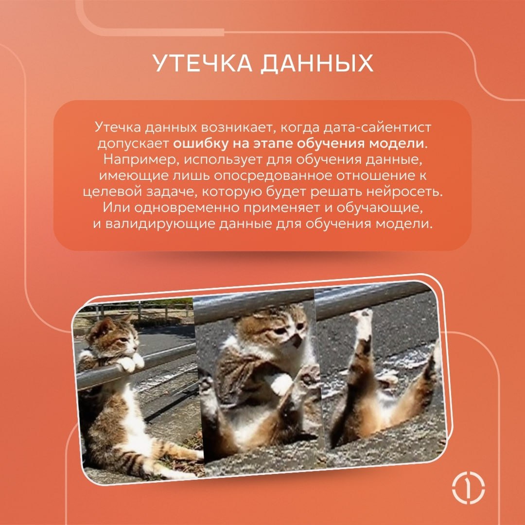 ⚡️ Рубрика — эээксперименты машинного обучения
Даже в цифровом мире не всегда всё гладко и проблемы могут поджидать на каждом шагу | Сетка — социальная сеть от hh.ru