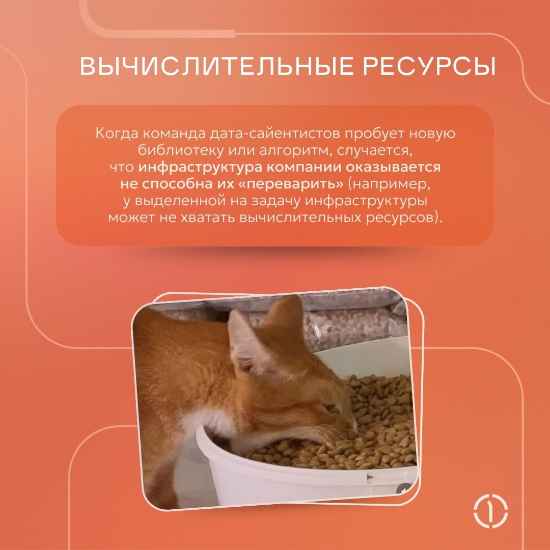 ⚡️ Рубрика — эээксперименты машинного обучения
Даже в цифровом мире не всегда всё гладко и проблемы могут поджидать на каждом шагу | Сетка — социальная сеть от hh.ru
