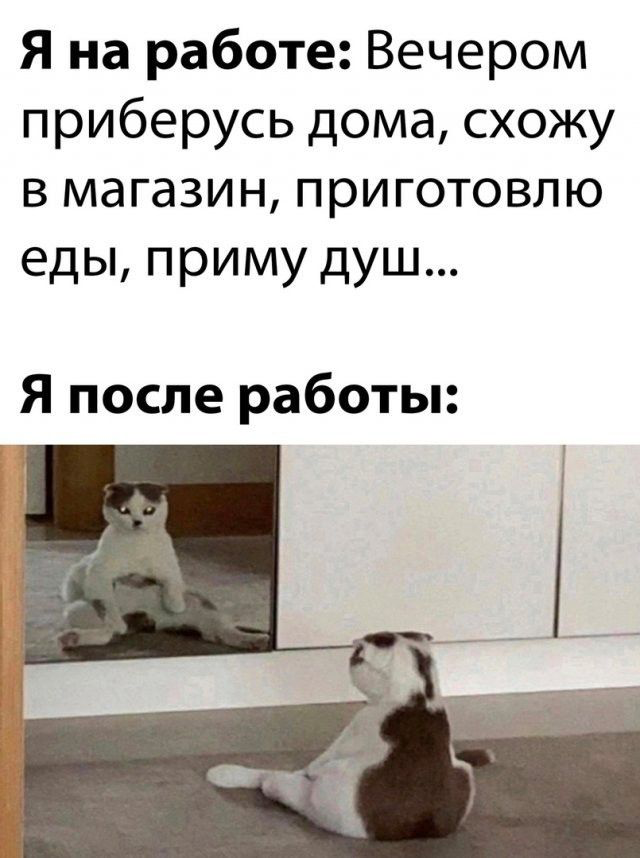 Немного мемов для расслабления после огромнейшего текста 🤪 | Сетка — социальная сеть от hh.ru