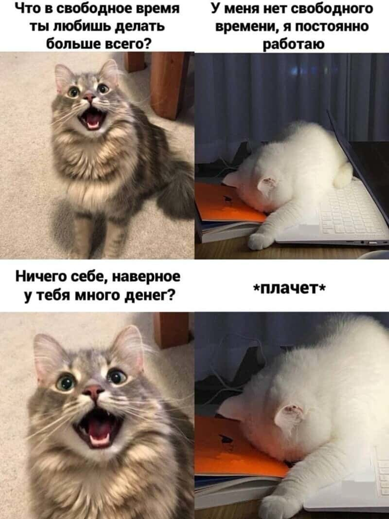 Немного мемов для расслабления после огромнейшего текста 🤪 | Сетка — социальная сеть от hh.ru
