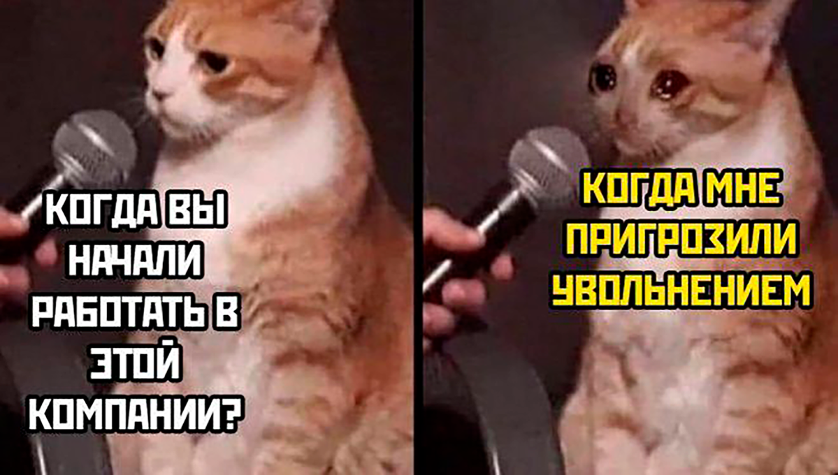 Немного мемов для расслабления после огромнейшего текста 🤪 | Сетка — социальная сеть от hh.ru