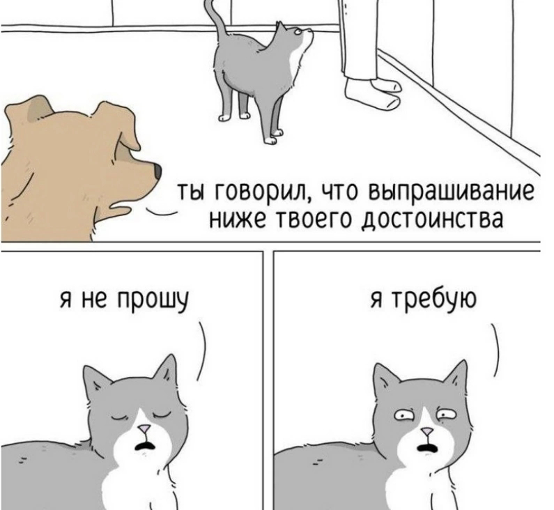 Я котик😼 | Сетка — социальная сеть от hh.ru