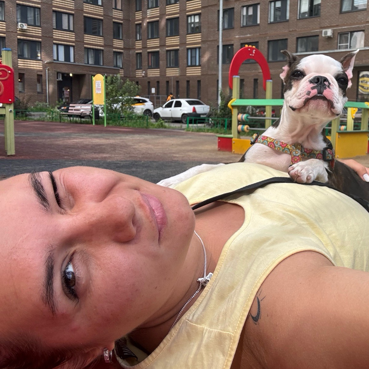 Network member avatar