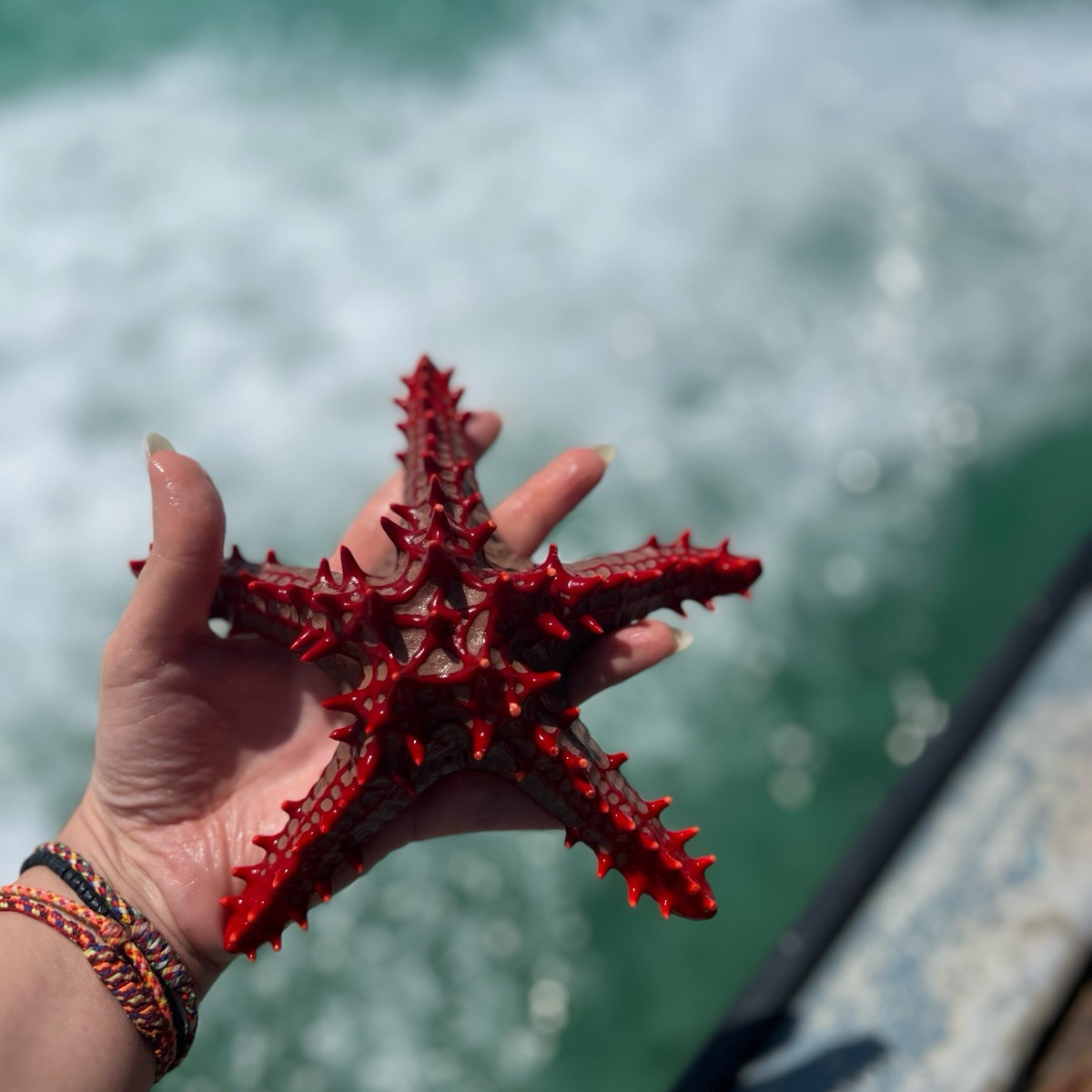 Диана Игнатьева