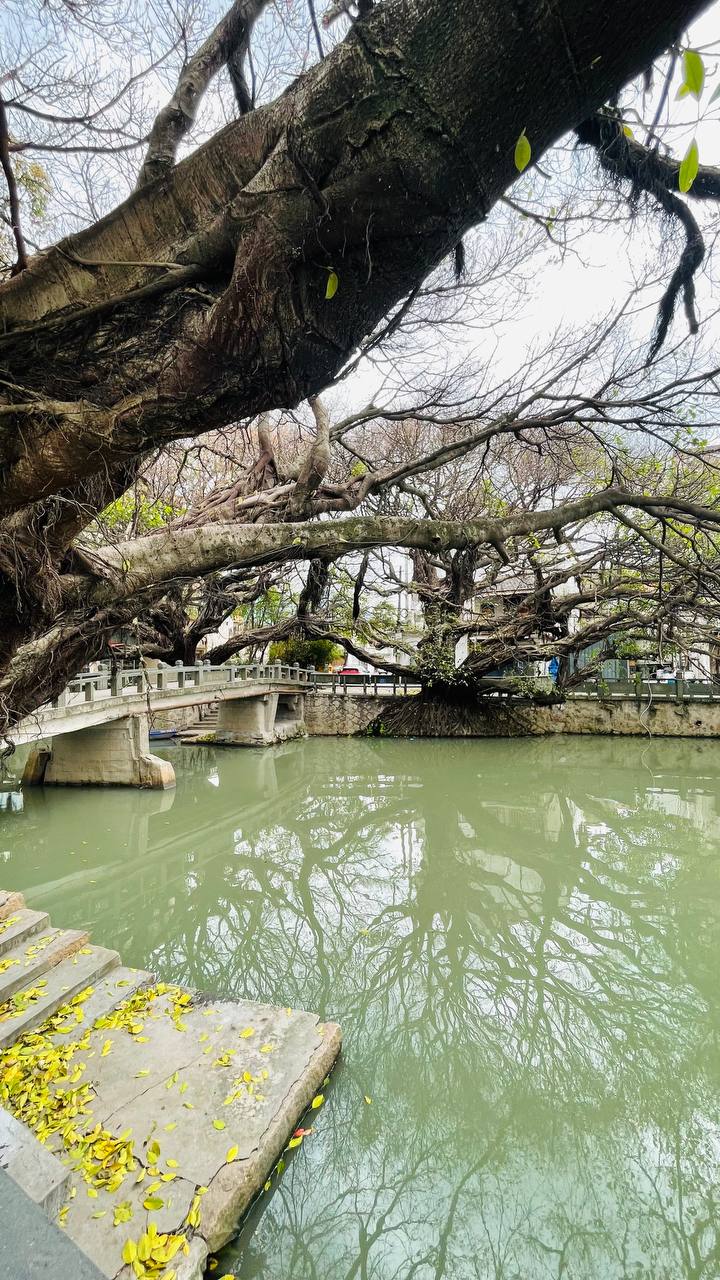 Извините, вы Русский?
Да.
Давайте делать деньги?
Вчера сидим с друзьями и уже партнерами в ресторане. Подходит китаянка ко мне и на удивительно понятном английском происходит лучший диалог всех времен | Сетка — социальная сеть от hh.ru