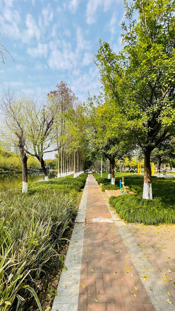 Извините, вы Русский?
Да.
Давайте делать деньги?
Вчера сидим с друзьями и уже партнерами в ресторане. Подходит китаянка ко мне и на удивительно понятном английском происходит лучший диалог всех времен | Сетка — социальная сеть от hh.ru