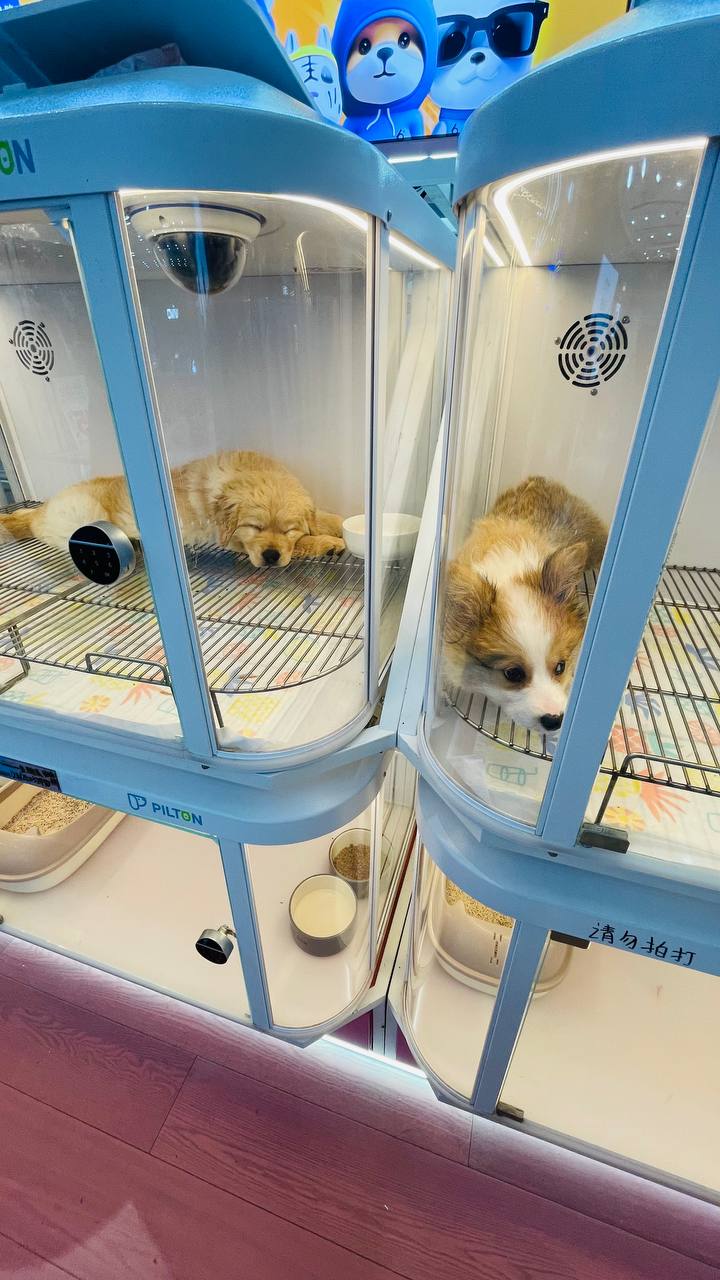 Извините, вы Русский?
Да.
Давайте делать деньги?
Вчера сидим с друзьями и уже партнерами в ресторане. Подходит китаянка ко мне и на удивительно понятном английском происходит лучший диалог всех времен | Сетка — социальная сеть от hh.ru