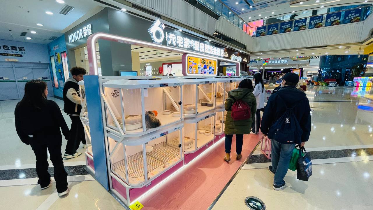 Извините, вы Русский?
Да.
Давайте делать деньги?
Вчера сидим с друзьями и уже партнерами в ресторане. Подходит китаянка ко мне и на удивительно понятном английском происходит лучший диалог всех времен | Сетка — социальная сеть от hh.ru