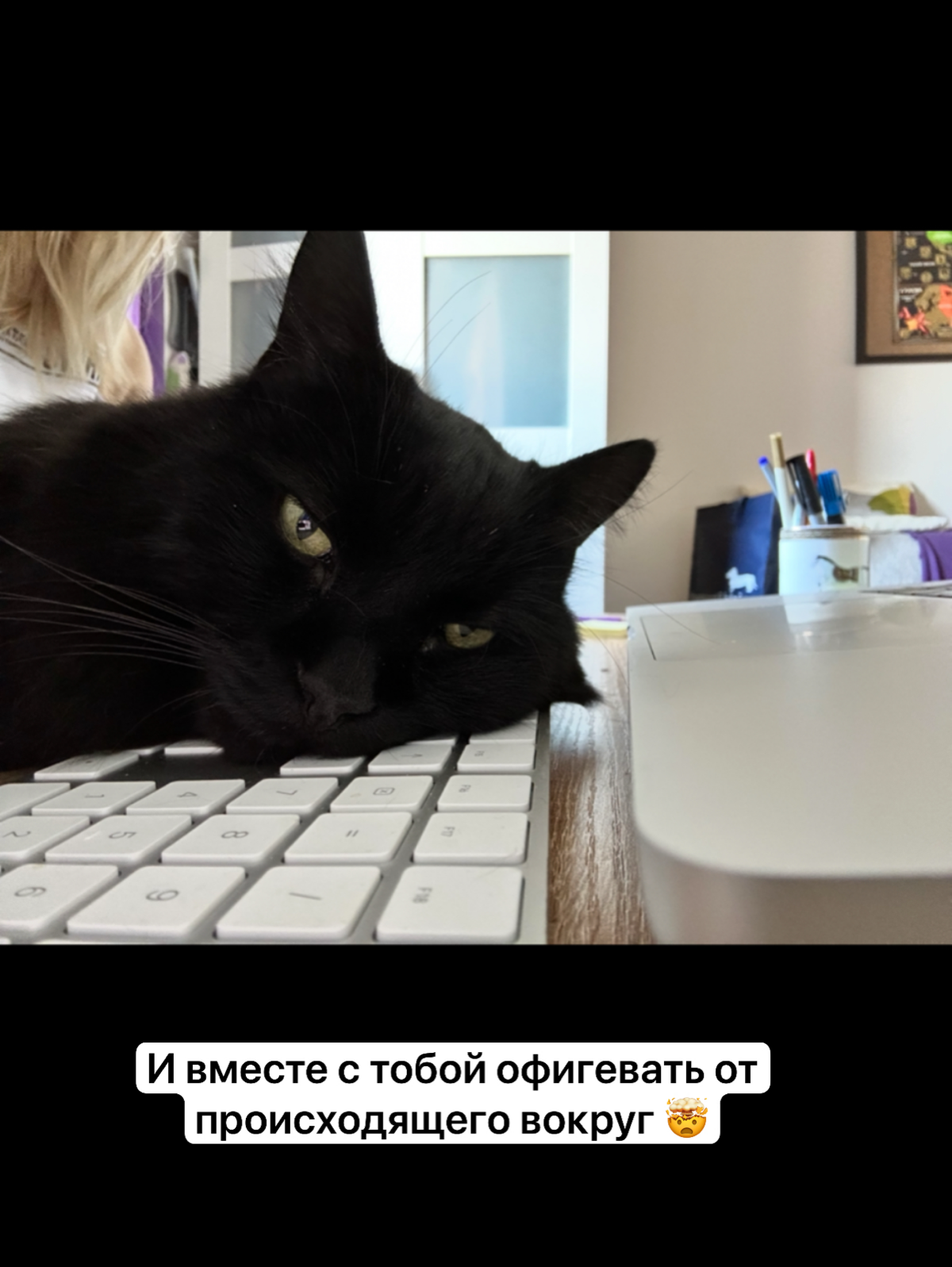Я уверена, что каждому программисту на удаленке нужен кот 😃 зачем? Смотрите в карточках!
А в комментариях делитесь фотками своих главных помощников ☺️
@nontechdev | Сетка — социальная сеть от hh.ru