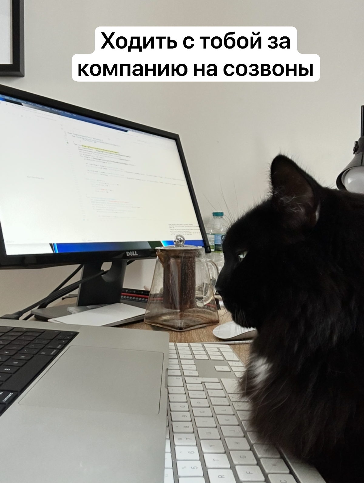 Я уверена, что каждому программисту на удаленке нужен кот 😃 зачем? Смотрите в карточках!
А в комментариях делитесь фотками своих главных помощников ☺️
@nontechdev | Сетка — социальная сеть от hh.ru