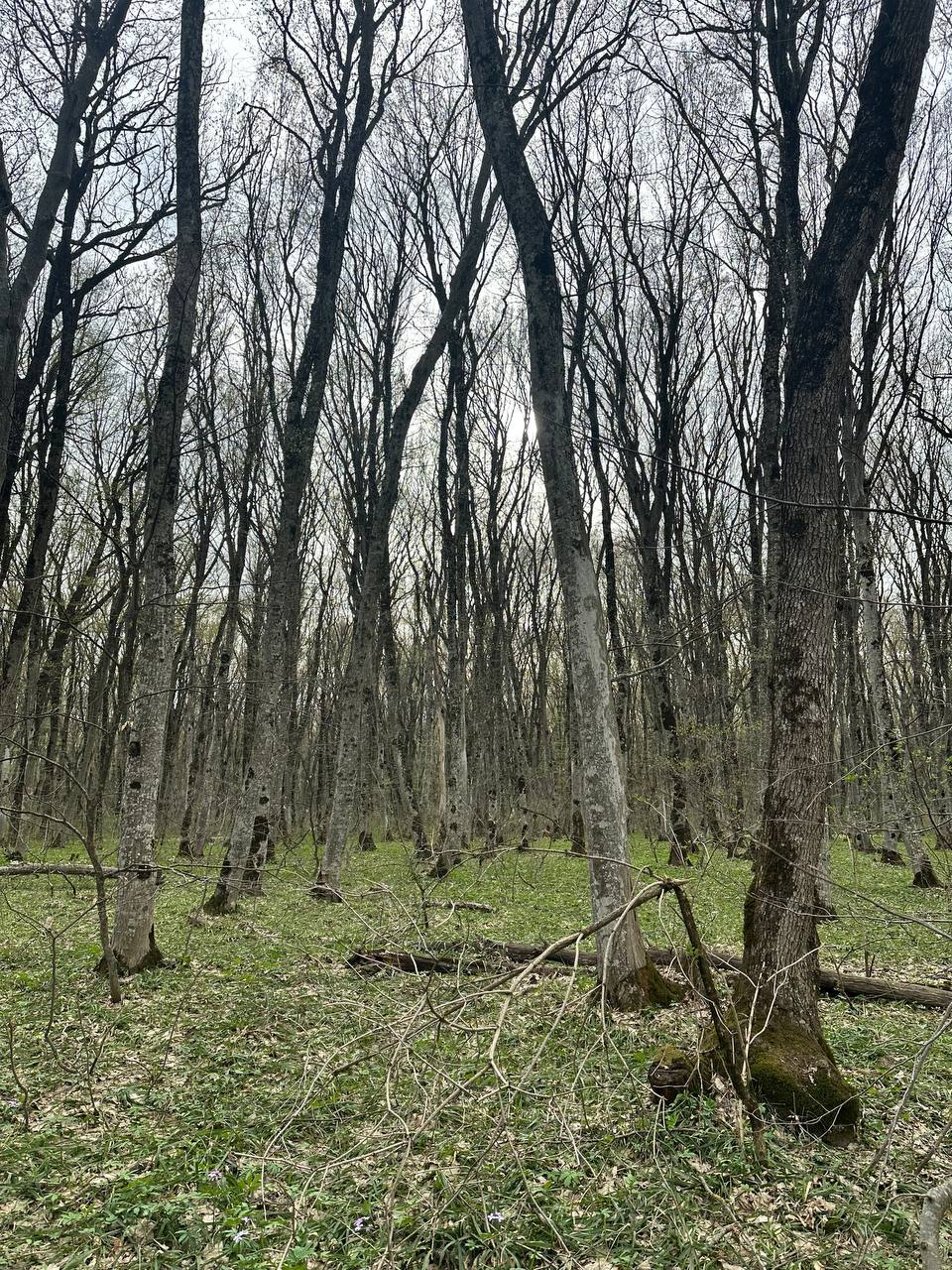 Всем энергичного воскресенья…пейте балтику нулевку, анжумания делайте, катайтесь на велике…
Поднял, обнял, заплакал❤️ | Сетка — социальная сеть от hh.ru