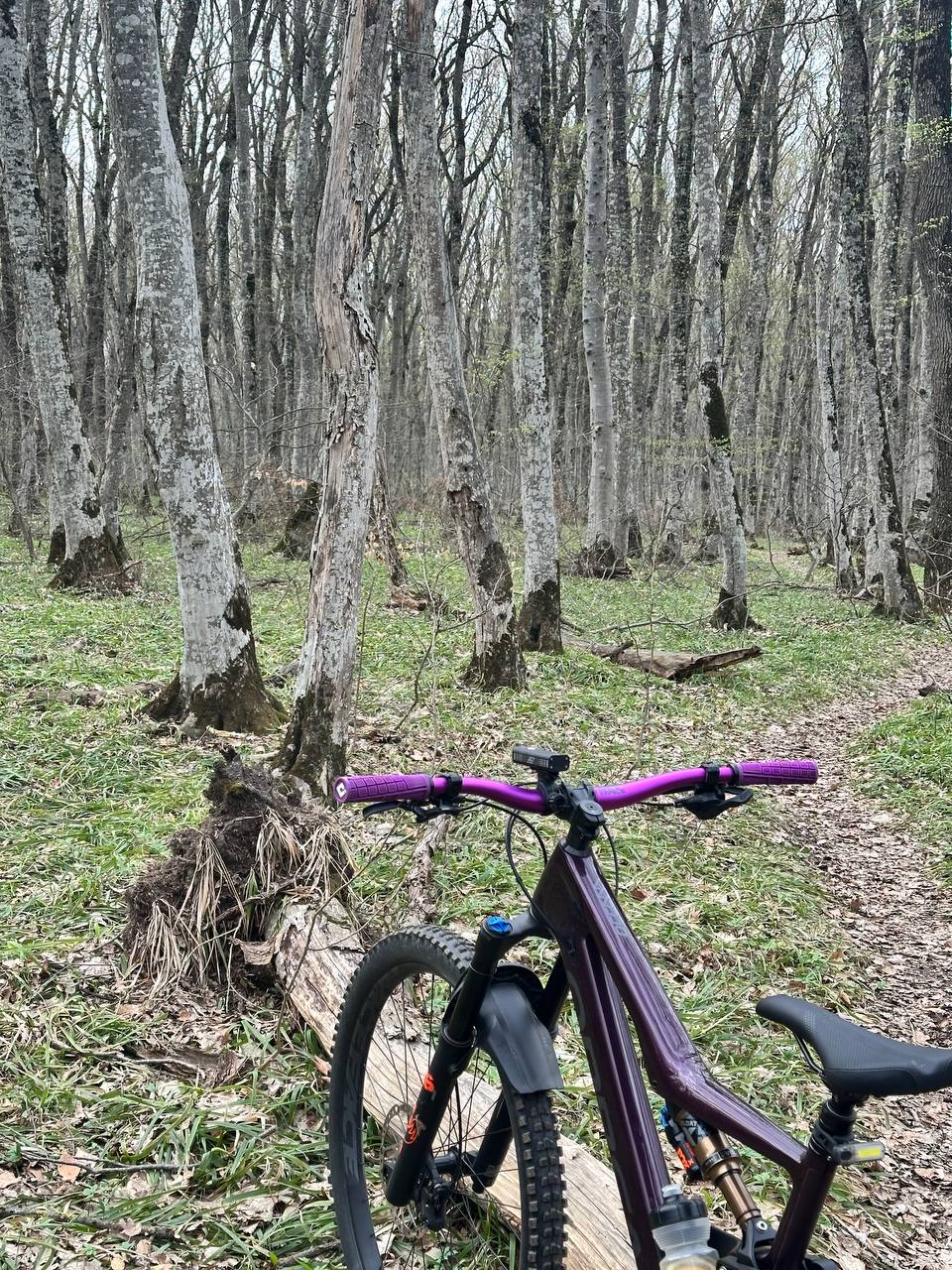 Всем энергичного воскресенья…пейте балтику нулевку, анжумания делайте, катайтесь на велике…
Поднял, обнял, заплакал❤️ | Сетка — социальная сеть от hh.ru