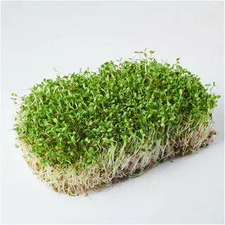 🌿Люцерна 🌿 | Сетка — социальная сеть от hh.ru