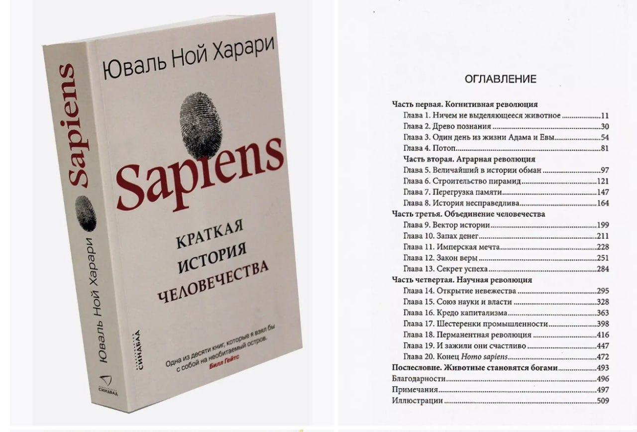 🔖Саммари ТОП-книги «Sapiens. Краткая история человечества» Юваля Ноя Харари
Книга рассказывает о том, как Homo sapiens стал доминирующим видом на планете | Сетка — социальная сеть от hh.ru