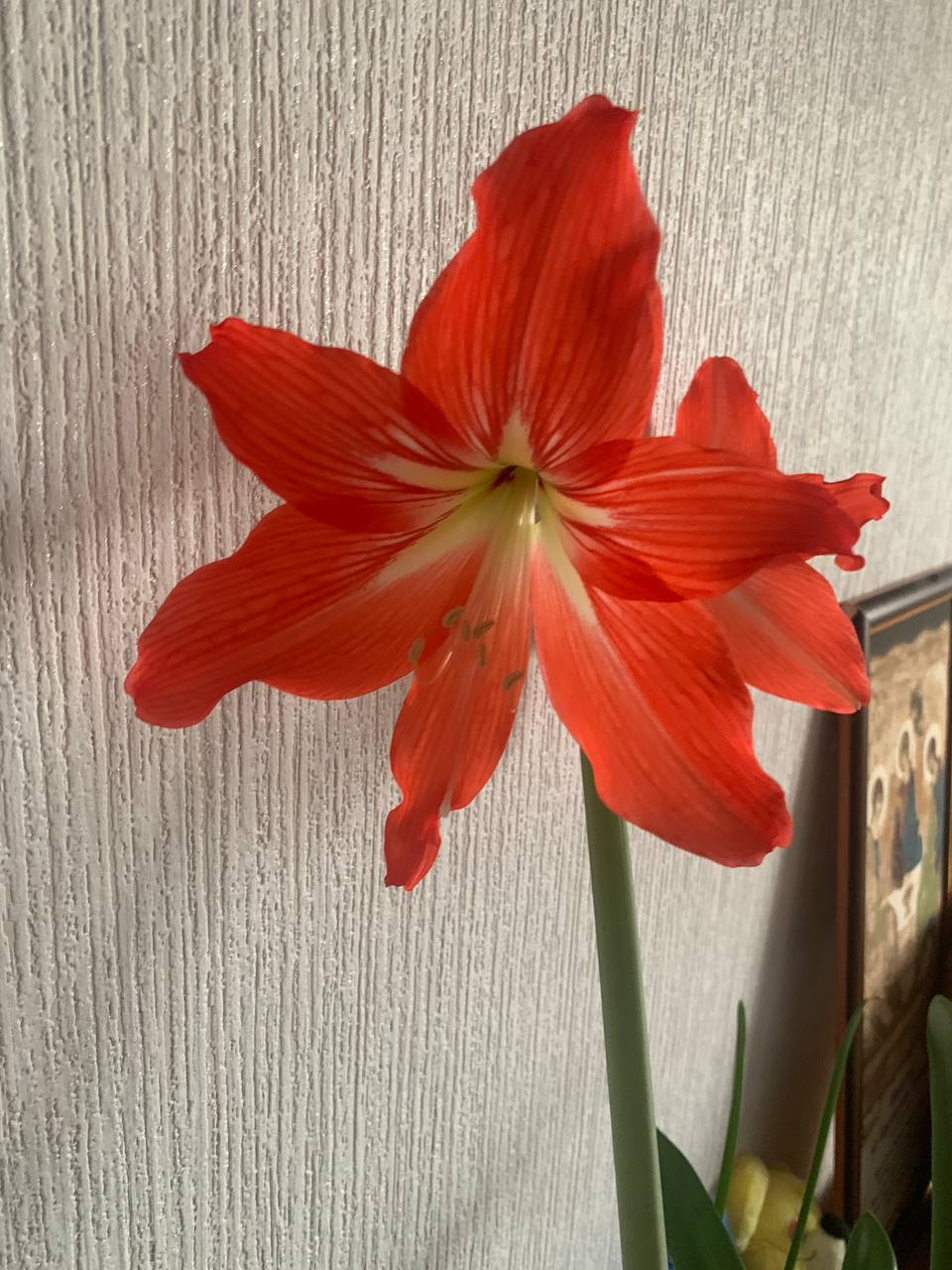 #анонс на апрель
02 - 🚀 #пишемвместе :24 часа с пользой для себя #всем https://angelpocherka | Сетка — социальная сеть от hh.ru