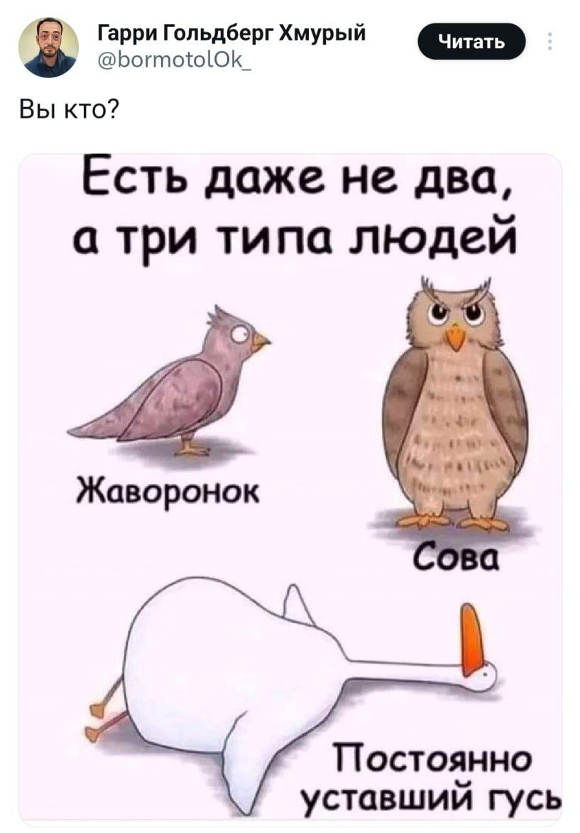 Утреннее понедельничное отпускное 🌴 | Сетка — социальная сеть от hh.ru