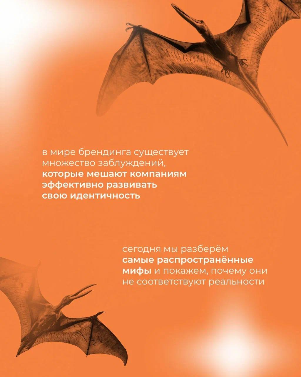 Рубрика «разрушители мифов» о стереотипных представлениях про брендинг 😎 | Сетка — социальная сеть от hh.ru