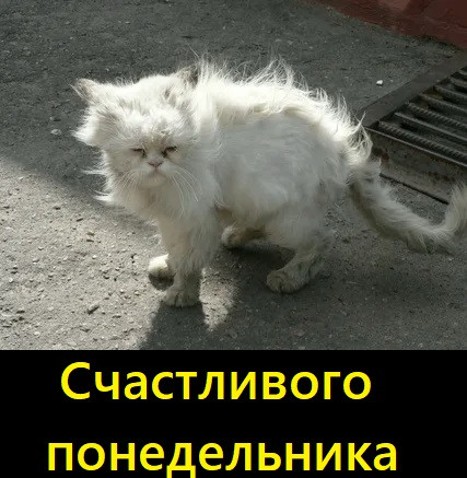 Выгорание не, не слышал 🥊 | Сетка — социальная сеть от hh.ru