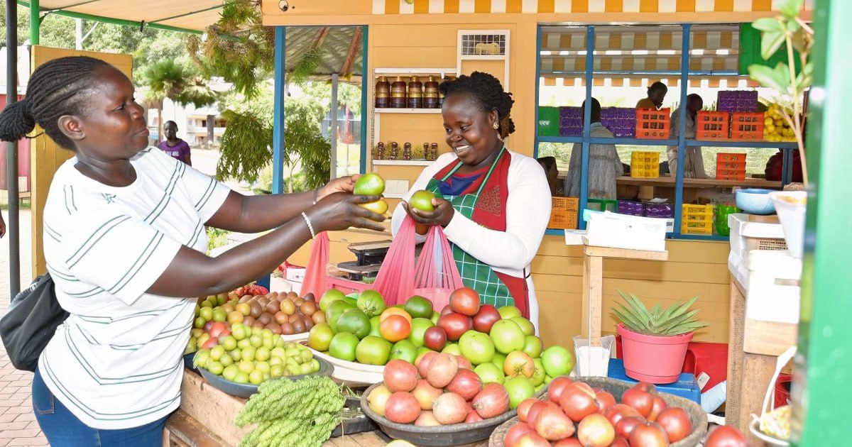 Технари в стартапе. Часть 1 | Сетка — социальная сеть от hh.ru