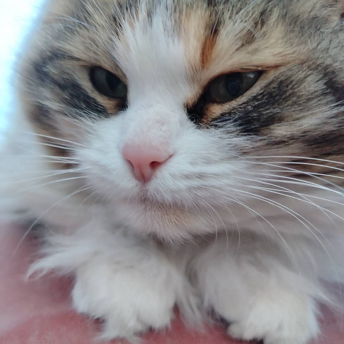 Екатерина Соловьева | Сетка — социальная сеть от hh.ru