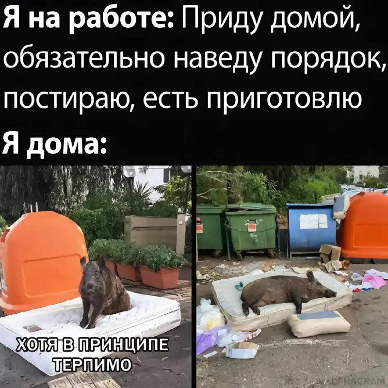Всех с новой рабочей неделей!🫶😂 | Сетка — социальная сеть от hh.ru