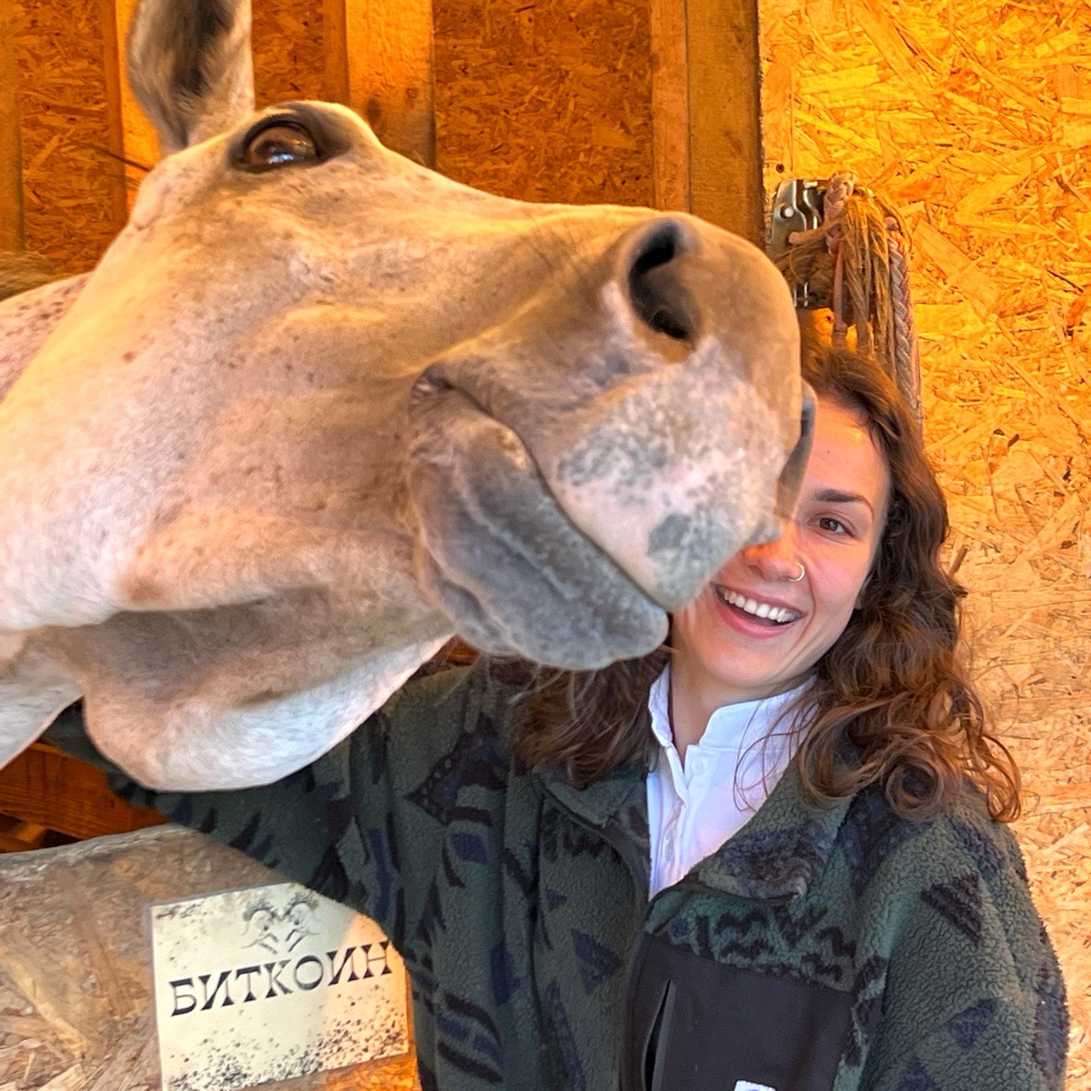 Ксения Светлая | Сетка — социальная сеть от hh.ru