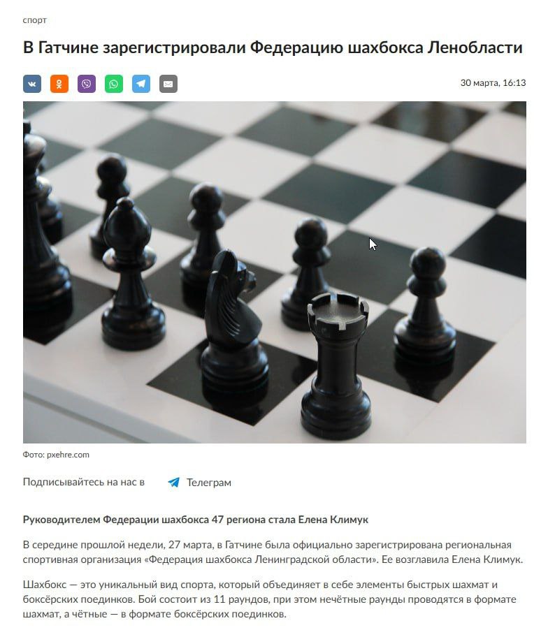 🌎 Сразу несколько изданий сообщило о успешной регистрации Федерации Шахбокса в Ленинградской области | Сетка — социальная сеть от hh.ru